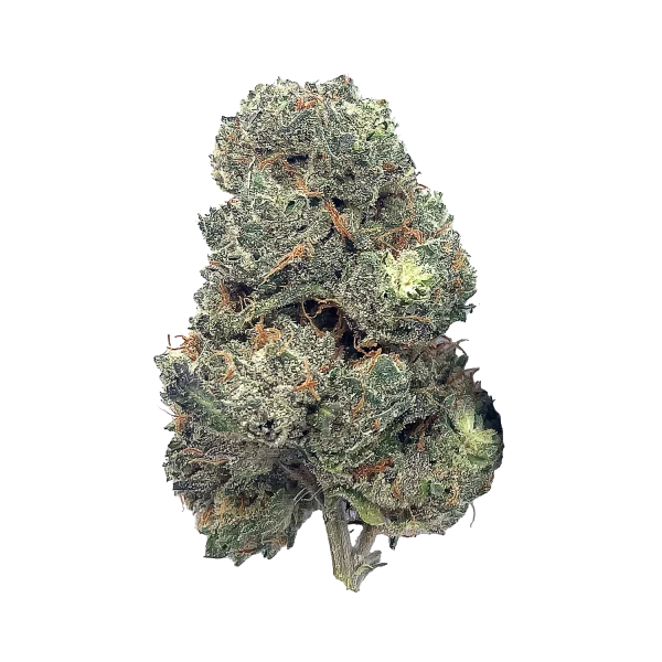 THCA Guru's THCA QP Sampler Pack - Save on a Quarter Pound of Flower - Image 4